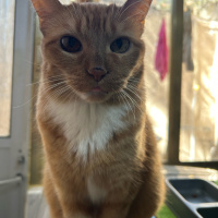 Deja de sobrevivir y empieza a vivir