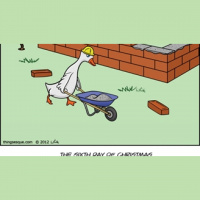 Pondering - Sermon, Sunday, December 30, 2018