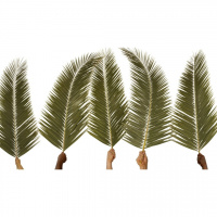 Powerful Love - Palm Sunday - Sunday, April 14, 2019