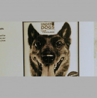 Sermon February 4, 2018 - Underdogs