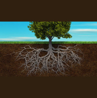 Ephesians Part 3: Roots of Love - Sermon, Sunday, June 17, 2018