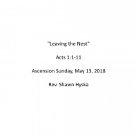 Sermon - May 13, 2018 - Leaving the Nest - Ascension Sunday/Mothers Day