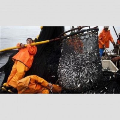 First Presbyterian Church In Kensington