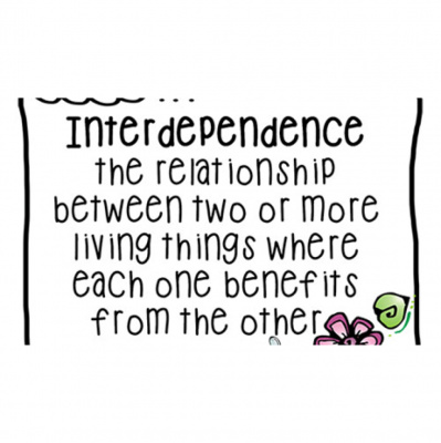 First Presbyterian Church In Kensington