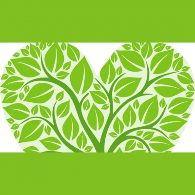 First Presbyterian Church In Kensington