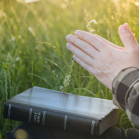 18 Feb 2024 - La dependencia que nos libera