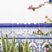 A force of nature episode one