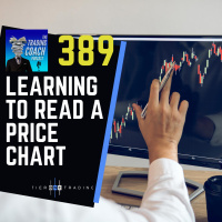 389 - Learning to Read A Price Chart 