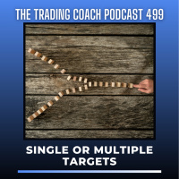 499 - Single Or Multiple Targets?