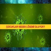 Neden Lösemi Oluyorlar?