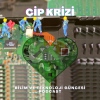 Çip Krizi