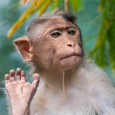 Off The Record With Paul Hodes