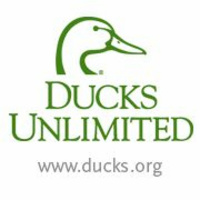 Ducks Unlimited – Wetland Conservation in Nevada
