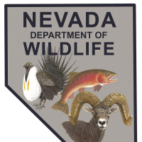 NDOWs Wildlife Veterinarian