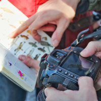 The Great Backyard Bird Count