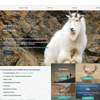 2025 Nevada Big Game Application Overview