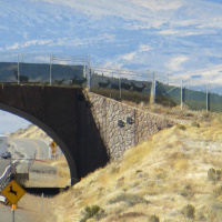 New Maps Document Big-Game Migrations Across the Western United States