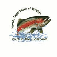 Trout In The Classroom