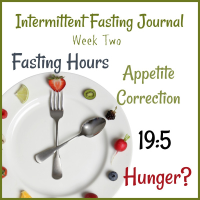 Donnas Intermittent Fasting Journal