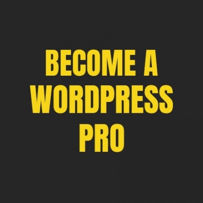 Become A Wordpress Pro