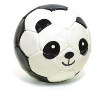 Todo el mundo cree que los futbolistas...