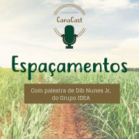 Episódio 1 - Espaçamentos