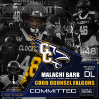 TUESDAY NIGHT THE VOYCE REPORTER SHOW LIVE WITH YOURS TRULY CO- HOST WAYNE THE VOYCE MATTHEWS AND SAMSON THE BADGUY