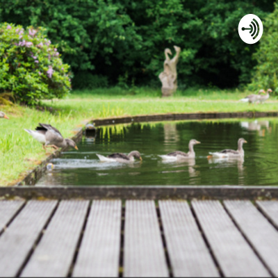 De Bloeiberg Podcasts Met Maartje Bergers