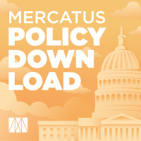 Antitrust Policy and its Different Perspectives