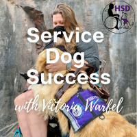 The 3 - now 4 - C’s of Dog Training