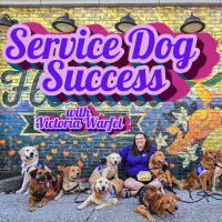 Travel to North Carolina with 4 Service Dogs