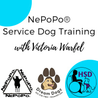 Working board amp train service dogs