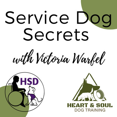 Service Dog Qa With Dream Dogz