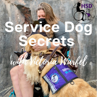 Service Dog Qa With Dream Dogz