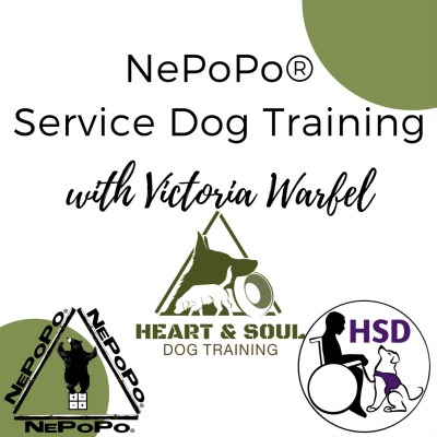 Service Dog Qa With Dream Dogz