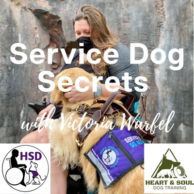 Service Dog Qa With Dream Dogz