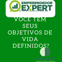 Você Tem Seus Objetivos De Vida Definidoss
