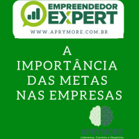 A Importancia As Metas Na Ssua Empresa