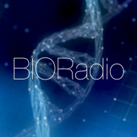 BIORadio #04 Gorduras Trans