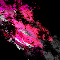 595 Session 02 - Evolution