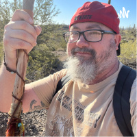 Chief’s Circle Preview of Arizona’s Offense