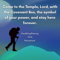 Walking the Way 8th August 2025 - The Ark