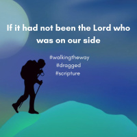 Walking the Way 29th July 2025 - Dragged, kicking and screaming