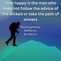 Walking the Way 29th January 2025 - Different