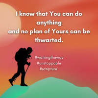 Walking the Way 28th January 2025 - Unstoppable