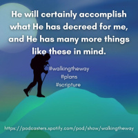 Walking the Way 1st January 2025 - Plans