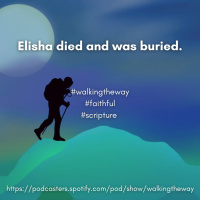 Walking the Way 30th May 2024 - Faithful one