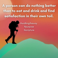  Walking the Way 7th November 2025 - Being present