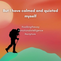 Walking the Way 7th August 2025 - Calm down, calm down