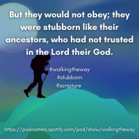 Walking the Way 5th June 2024 - Apples and trees